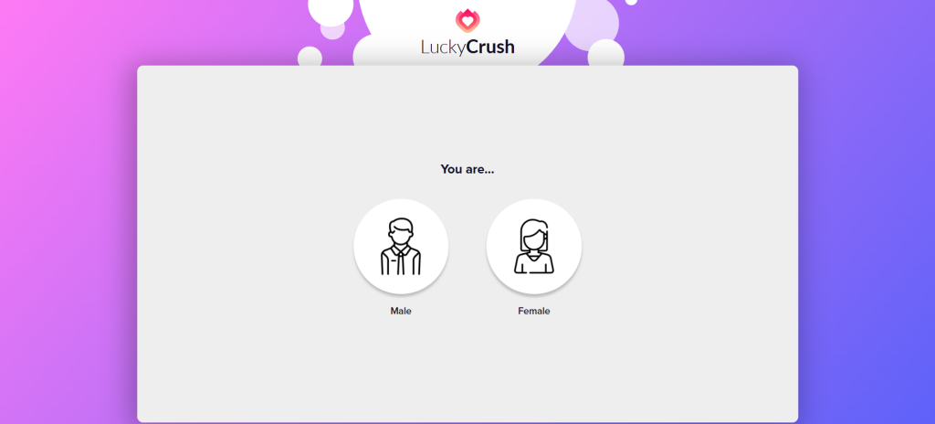 LuckyCrush review covering how it works, anonymity, safety, pricing, user experience, and the best alternatives for cam-to-cam chat.