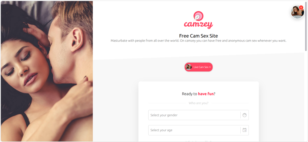 Camzey review covering safety, anonymity, pricing, and most of the top alternatives for 1v1 random video chat.